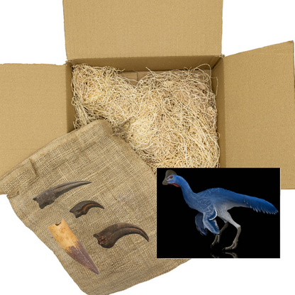 Mesozoic Mysteries Standard Crate: Spinosaurus, Anzu, Struthiomimus, Troodon