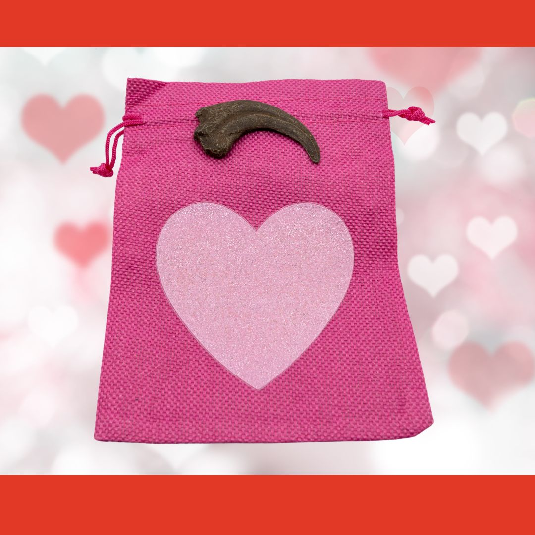 Dromaeosaurus hand claw cast with Hot Pink Bag/Light Pink Heart gift bag.