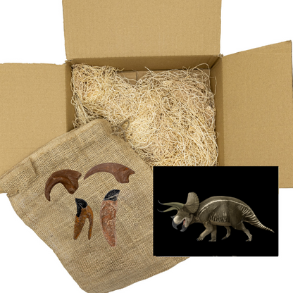 Ceratopsian and Raptors Standard Crate: Triceratops, Protoceratops, Dromaeosaurus, and Utahraptor 