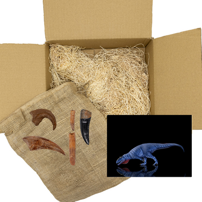 Rare Beasts Standard Crate: Casts from Shaochilong, Alioramus, Rebbachisaurus, and Utahraptor.