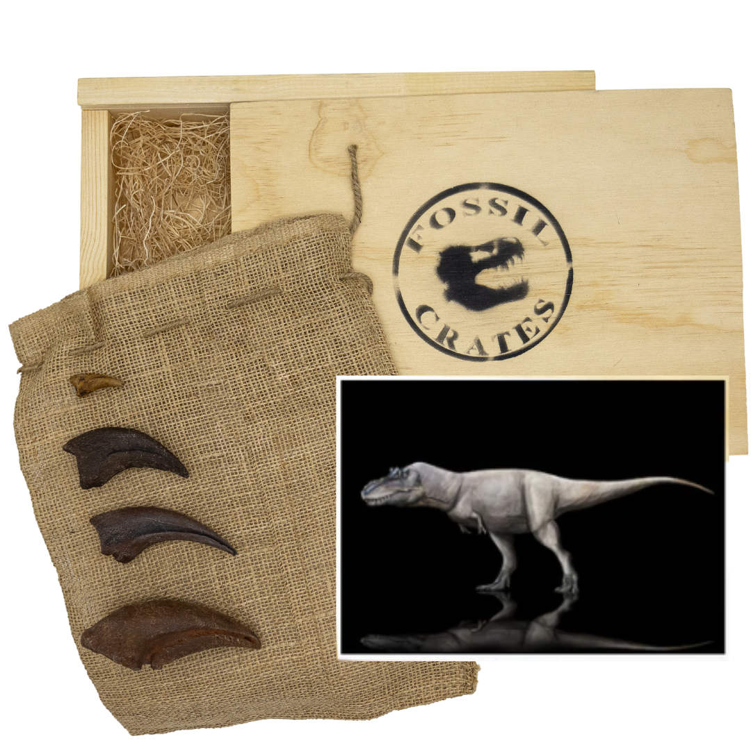 Tyrannosaurids Two Wooden Crate