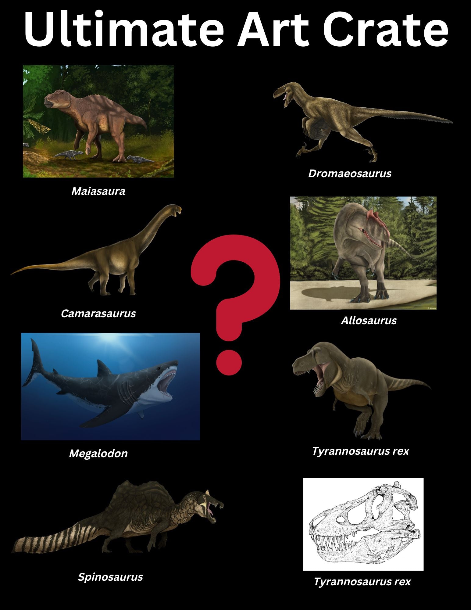 Ultimate Allosaurus vs Camarasaurus Crate outlet