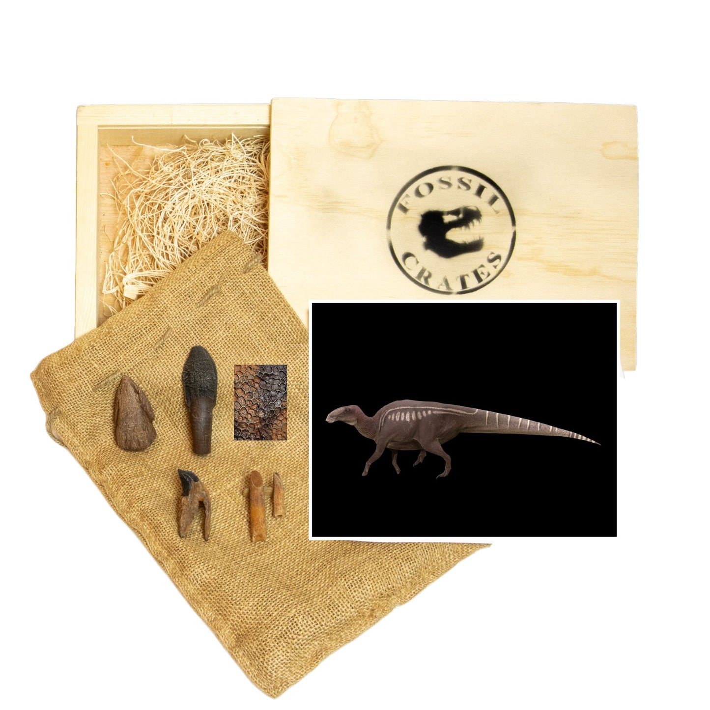 Ultimate Herbivores Three Wooden Crate: Edmontosaurus, Camarasaurus, Triceratops, Rebbachisaurus 