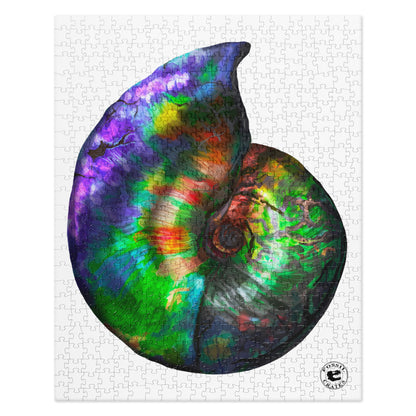 Ammonite Shell Puzzle