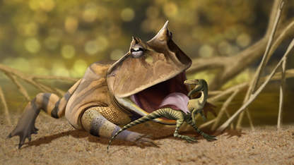 Beelzebufo and Masiakasaurus - Madagascar Mug