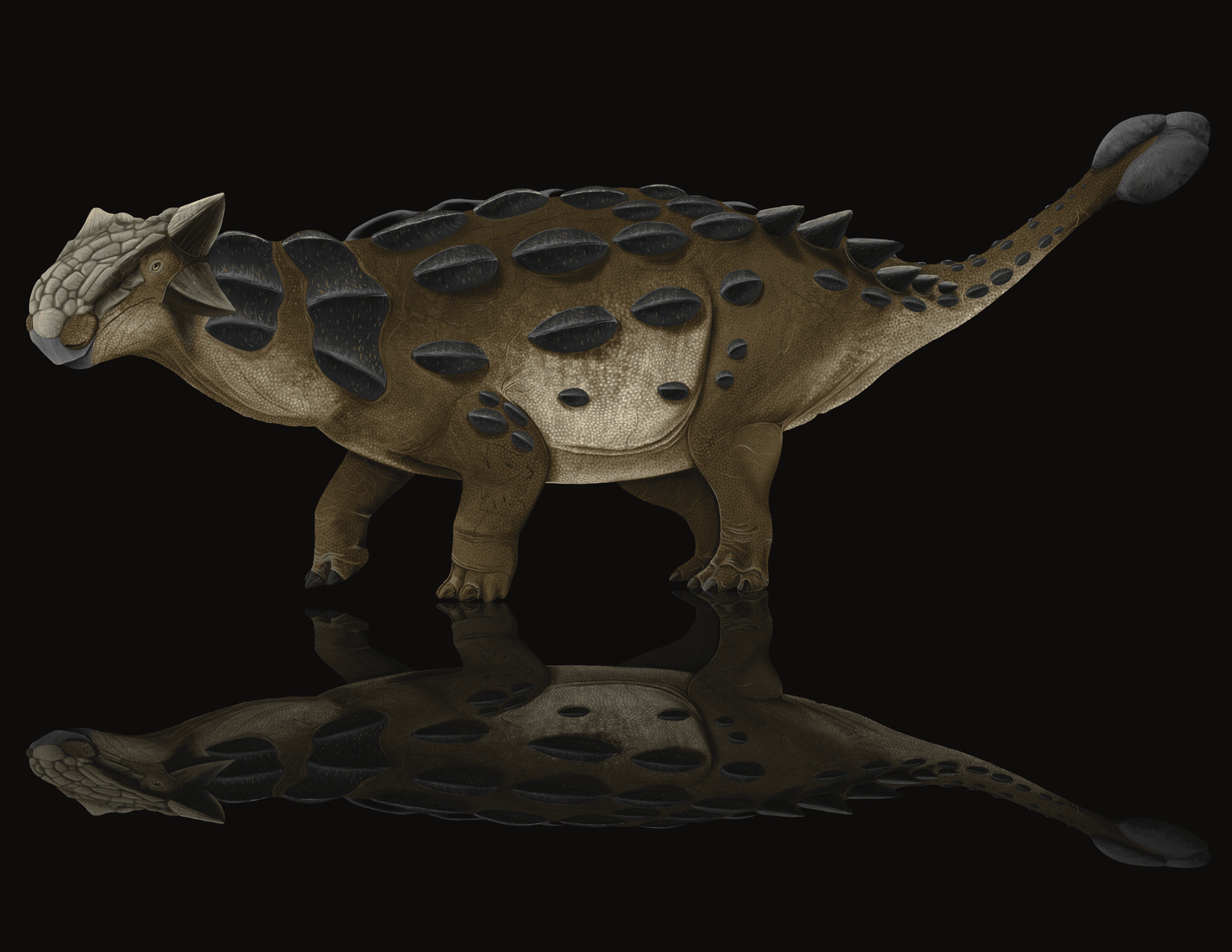 Tarbosaurus getting Leg-Checked by an Ankylosaur
