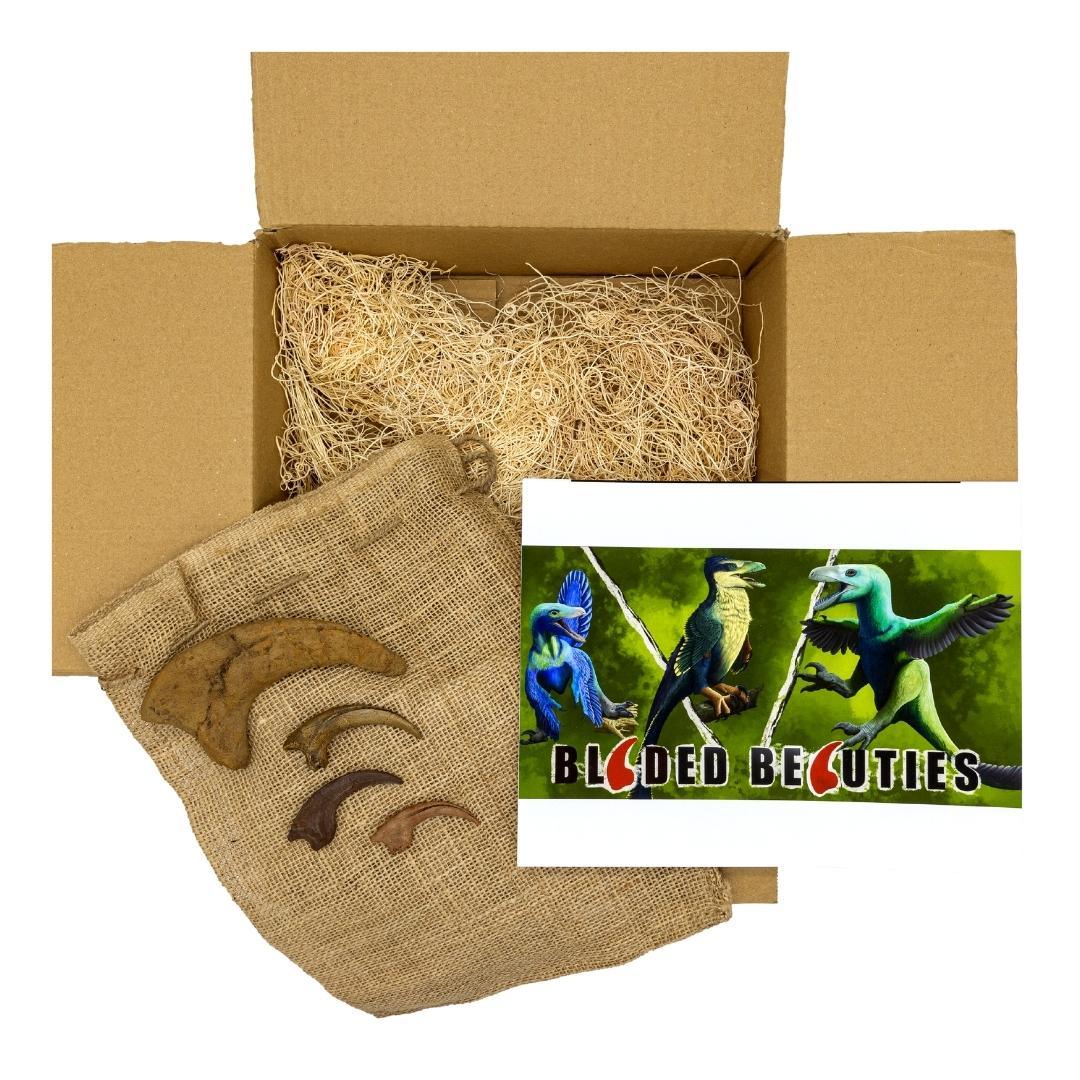 The Raptor Crate! Velociraptor, Deinonychus, Dromaeosaurus – Fossil Crates