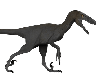 Dromaeosaurus exclusive paleoart that comes with the Dromaeosaurus claw cast