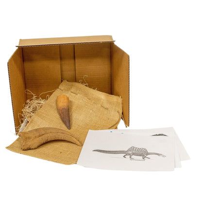 Spinosaurus Crate - Fossil Crates Dinosaur crate