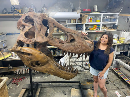 Total T. rex - Fossil Crates. Tyrannosaurus skull for sale