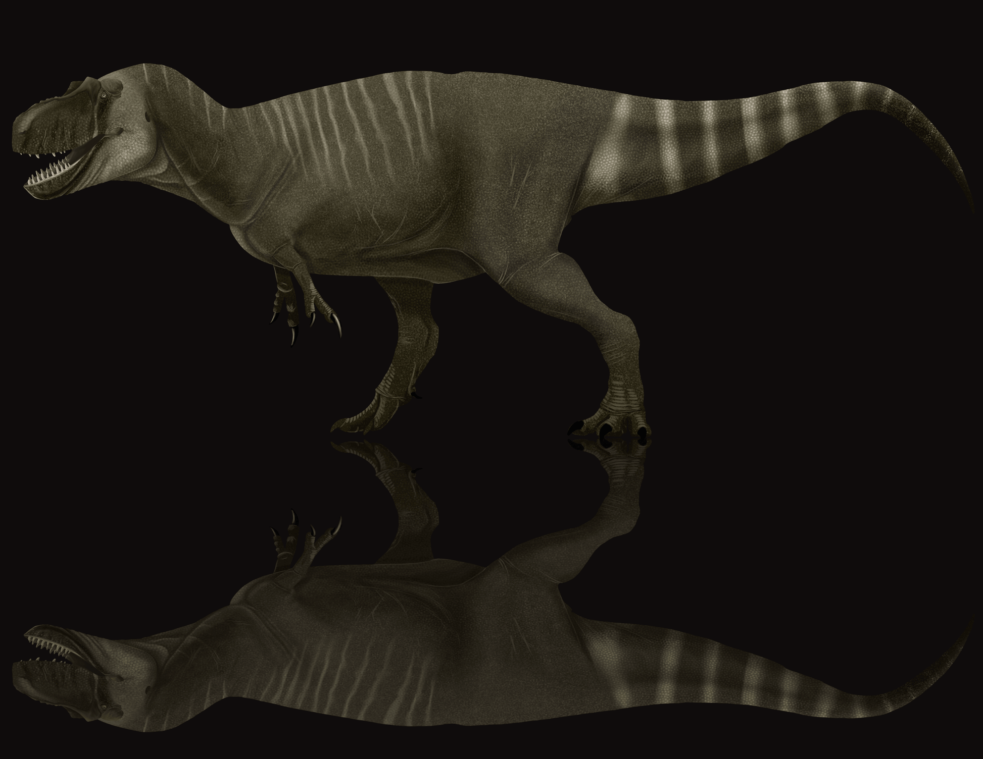 Albertosaurus, Dinosaur King